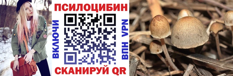 закладка  blacksprut онион  Псилоцибиновые грибы Magic Shrooms  Северская 