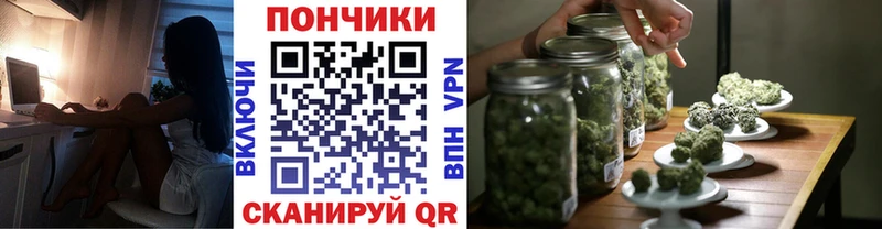 Каннабис SATIVA & INDICA  где найти наркотики  Северская 